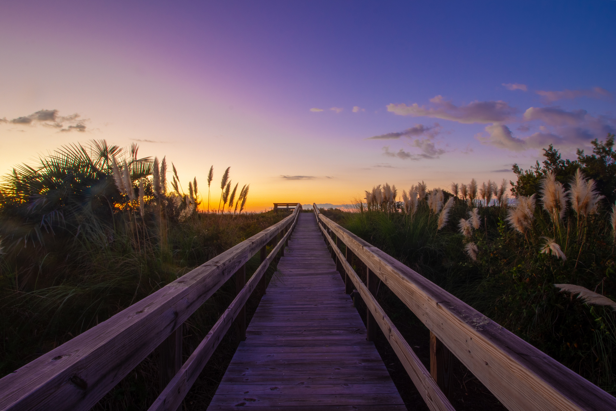 isle-of-palms-is-one-of-the-best-beaches-in-south-carolina-for-families